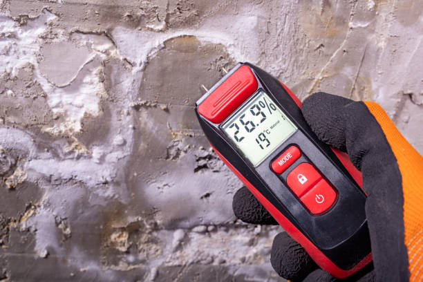 Best Residential Mold Removal  in Victoria, VA