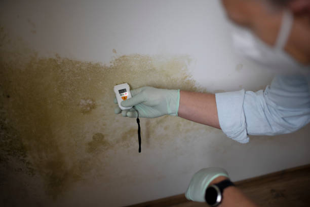 Best Professional Mold Removal  in Victoria, VA