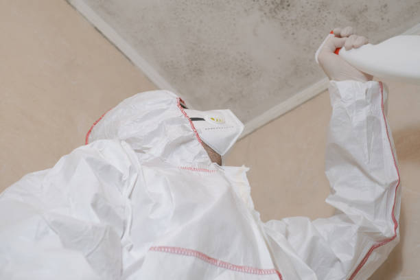 Best Emergency Mold Removal  in Victoria, VA