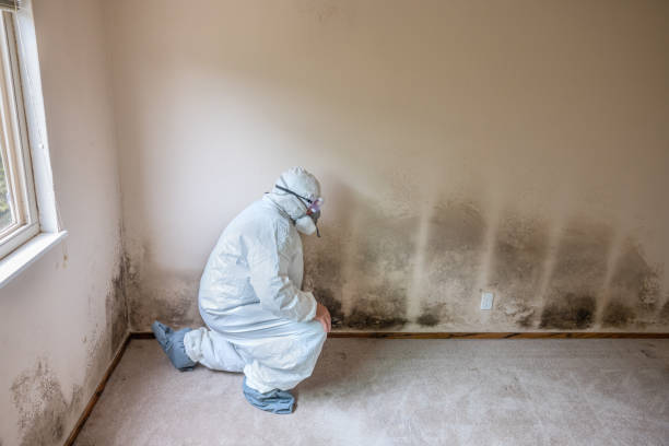 Crawl Space Mold Removal in Victoria, VA