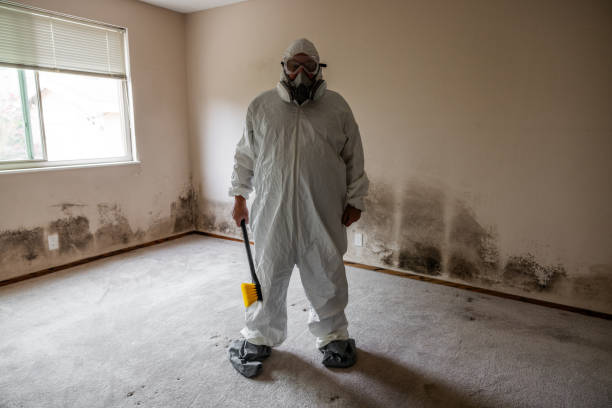 Best Attic Mold Removal  in Victoria, VA